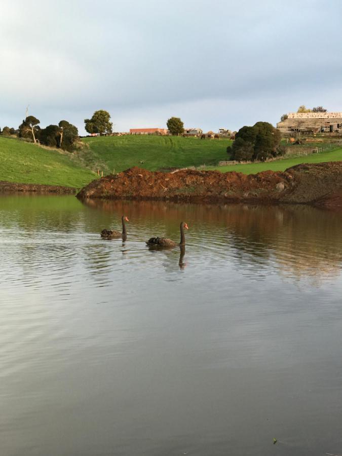 Sassafras Robin Hoods Well Farm Stay מראה חיצוני תמונה