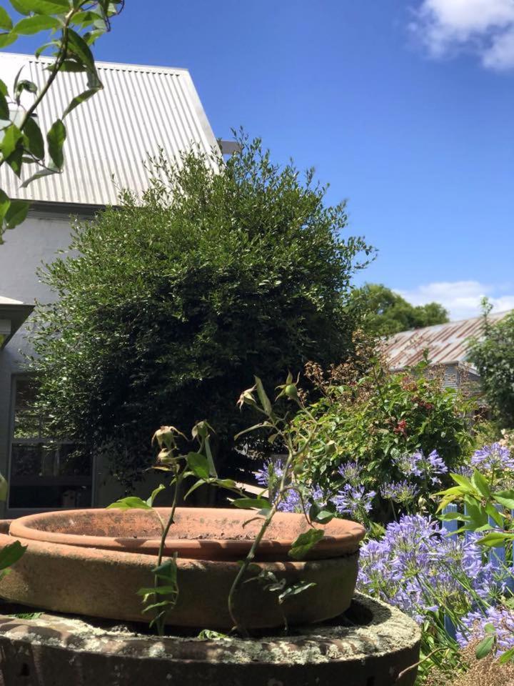 Sassafras Robin Hoods Well Farm Stay מראה חיצוני תמונה