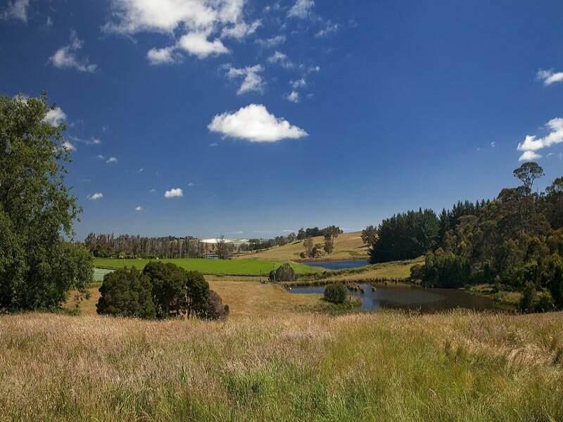 Sassafras Robin Hoods Well Farm Stay מראה חיצוני תמונה