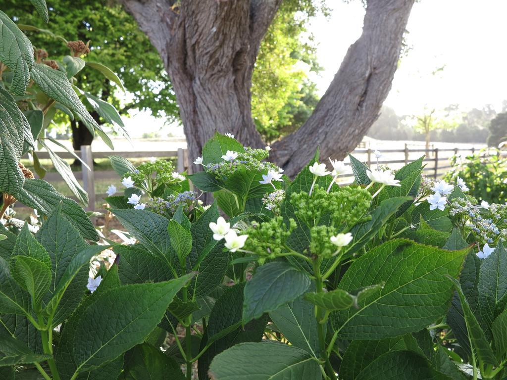 Sassafras Robin Hoods Well Farm Stay מראה חיצוני תמונה